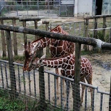 沖縄こどもの国に投稿された画像（2022/2/20）