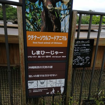 沖縄こどもの国に投稿された画像（2022/2/20）