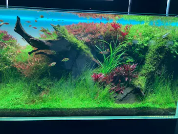 すみだ水族館に投稿された画像（2022/2/20）