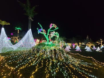 美らヤシパークオキナワ・東南植物楽園に投稿された画像（2022/2/20）