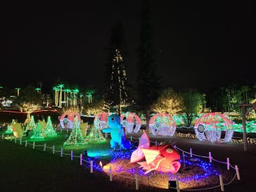美らヤシパークオキナワ・東南植物楽園に投稿された画像（2022/2/20）