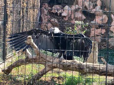 天王寺動物園に投稿された画像（2022/2/20）
