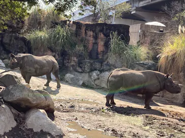 天王寺動物園に投稿された画像（2022/2/20）
