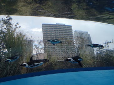 サンシャイン水族館に投稿された画像（2022/2/20）