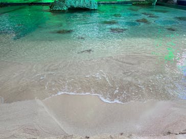 鴨川シーワールドに投稿された画像（2022/2/20）