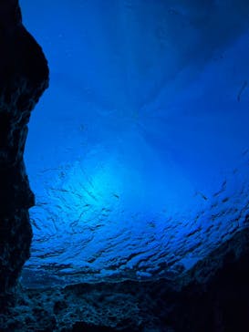 鴨川シーワールドに投稿された画像（2022/2/20）