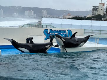 鴨川シーワールドに投稿された画像（2022/2/20）