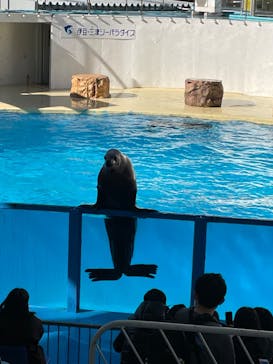 伊豆・三津シーパラダイスに投稿された画像（2022/2/20）