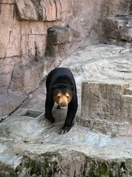 天王寺動物園に投稿された画像（2022/2/20）