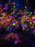 森ビル デジタルアート ミュージアム：エプソン チームラボボーダレスに投稿された画像（2022/2/20）