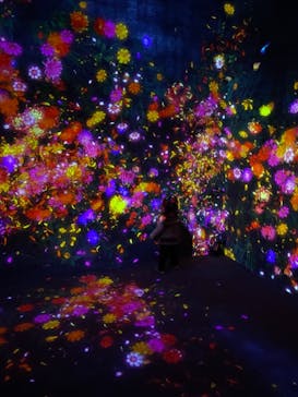 森ビル デジタルアート ミュージアム：エプソン チームラボボーダレスに投稿された画像（2022/2/20）