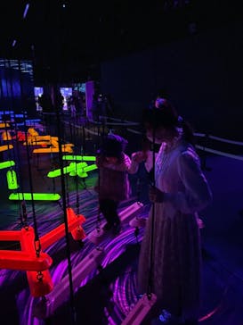 森ビル デジタルアート ミュージアム：エプソン チームラボボーダレスに投稿された画像（2022/2/20）