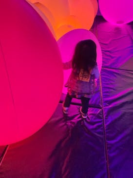 森ビル デジタルアート ミュージアム：エプソン チームラボボーダレスに投稿された画像（2022/2/20）