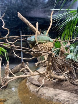 カワスイ 川崎⽔族館に投稿された画像（2022/2/20）