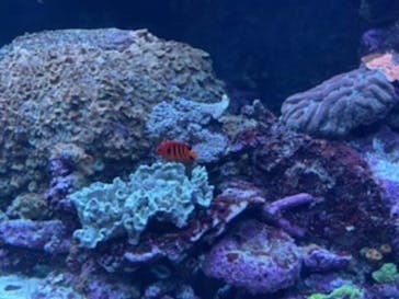 サンシャイン水族館に投稿された画像（2022/2/20）