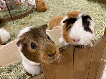 カワスイ 川崎⽔族館に投稿された画像（2022/2/20）