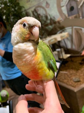 Moff animal world MARK IS みなとみらい店に投稿された画像（2022/2/20）