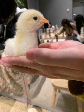 Moff animal world MARK IS みなとみらい店に投稿された画像（2022/2/20）