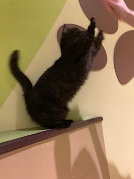 Moff animal world MARK IS みなとみらい店に投稿された画像（2022/2/20）