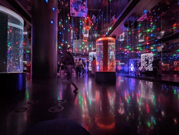 マクセル アクアパーク品川に投稿された画像（2022/2/20）