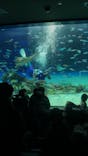サンシャイン水族館に投稿された画像（2022/2/20）