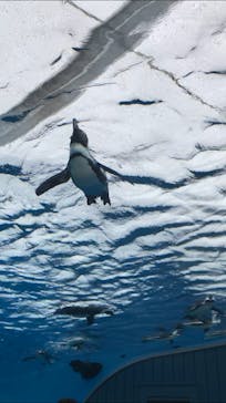 サンシャイン水族館に投稿された画像（2022/2/20）