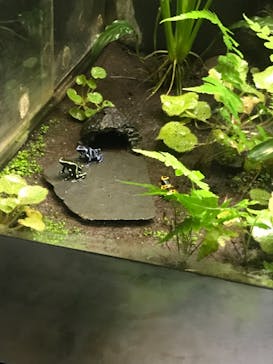 サンシャイン水族館に投稿された画像（2022/2/20）