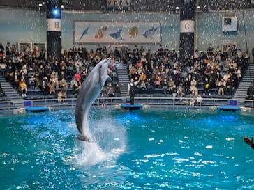 マクセル アクアパーク品川に投稿された画像（2022/2/20）