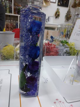 ずこうしつ〜sugamo〜に投稿された画像（2022/2/20）