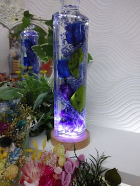 ずこうしつ〜sugamo〜に投稿された画像（2022/2/20）