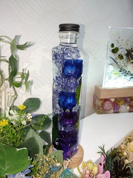 ずこうしつ〜sugamo〜に投稿された画像（2022/2/20）