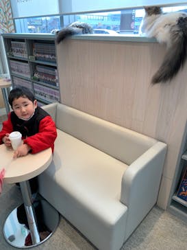 猫カフェモカ　イオンレイクタウン店に投稿された画像（2022/2/20）