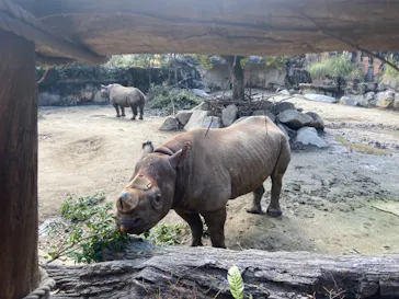 天王寺動物園に投稿された画像（2022/2/20）