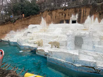 天王寺動物園に投稿された画像（2022/2/20）