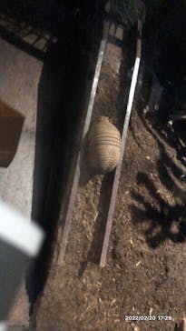 カワスイ 川崎⽔族館に投稿された画像（2022/2/20）