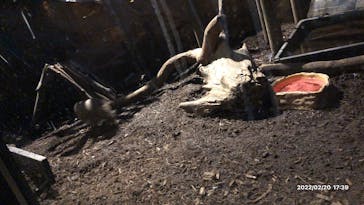 カワスイ 川崎⽔族館に投稿された画像（2022/2/20）