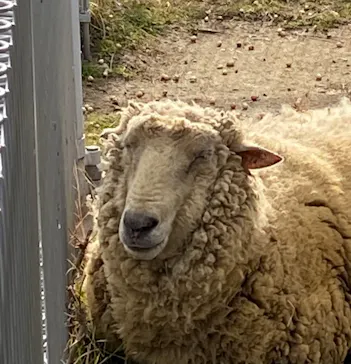 天王寺動物園に投稿された画像（2022/2/20）