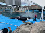名古屋港水族館に投稿された画像（2022/2/20）