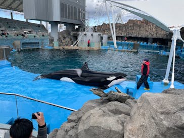 名古屋港水族館に投稿された画像（2022/2/20）