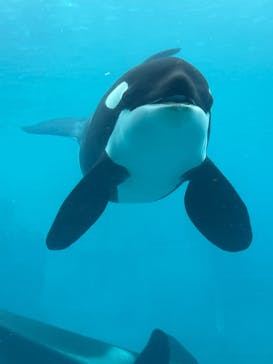 名古屋港水族館に投稿された画像（2022/2/20）