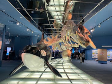 名古屋港水族館に投稿された画像（2022/2/20）