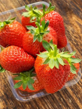 井上寅雄農園に投稿された画像（2022/2/20）