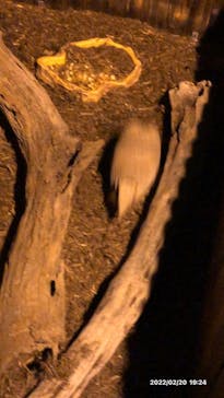 カワスイ 川崎⽔族館に投稿された画像（2022/2/20）