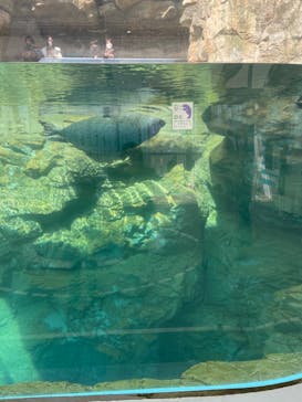 京都鉄道博物館×京都水族館に投稿された画像（2022/2/20）