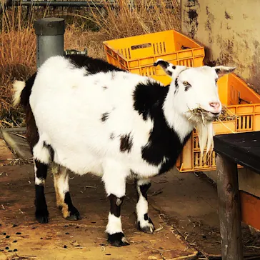 天王寺動物園に投稿された画像（2022/2/20）