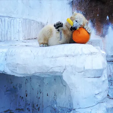 天王寺動物園に投稿された画像（2022/2/20）