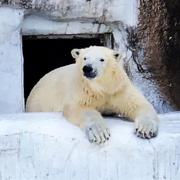 天王寺動物園に投稿された画像（2022/2/20）