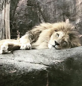 天王寺動物園に投稿された画像（2022/2/20）