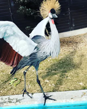 天王寺動物園に投稿された画像（2022/2/20）