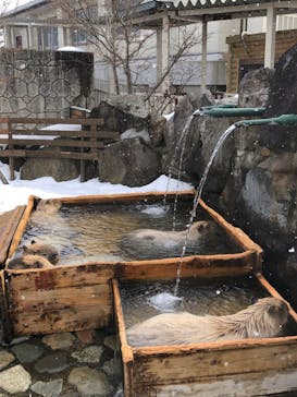 那須どうぶつ王国に投稿された画像（2022/2/20）